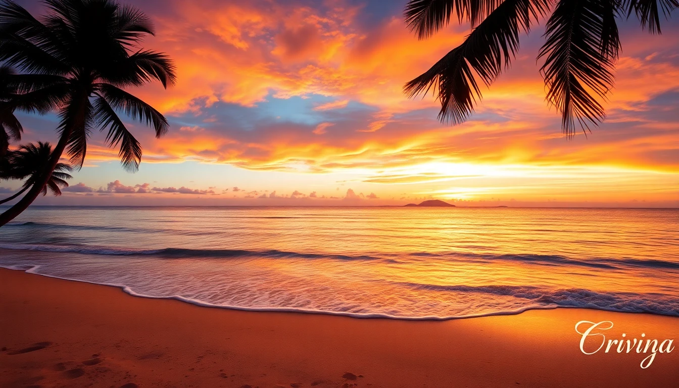 Beaches Background Pictures