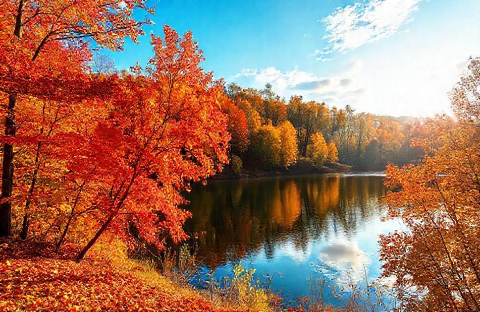 Wallpaper For Windows