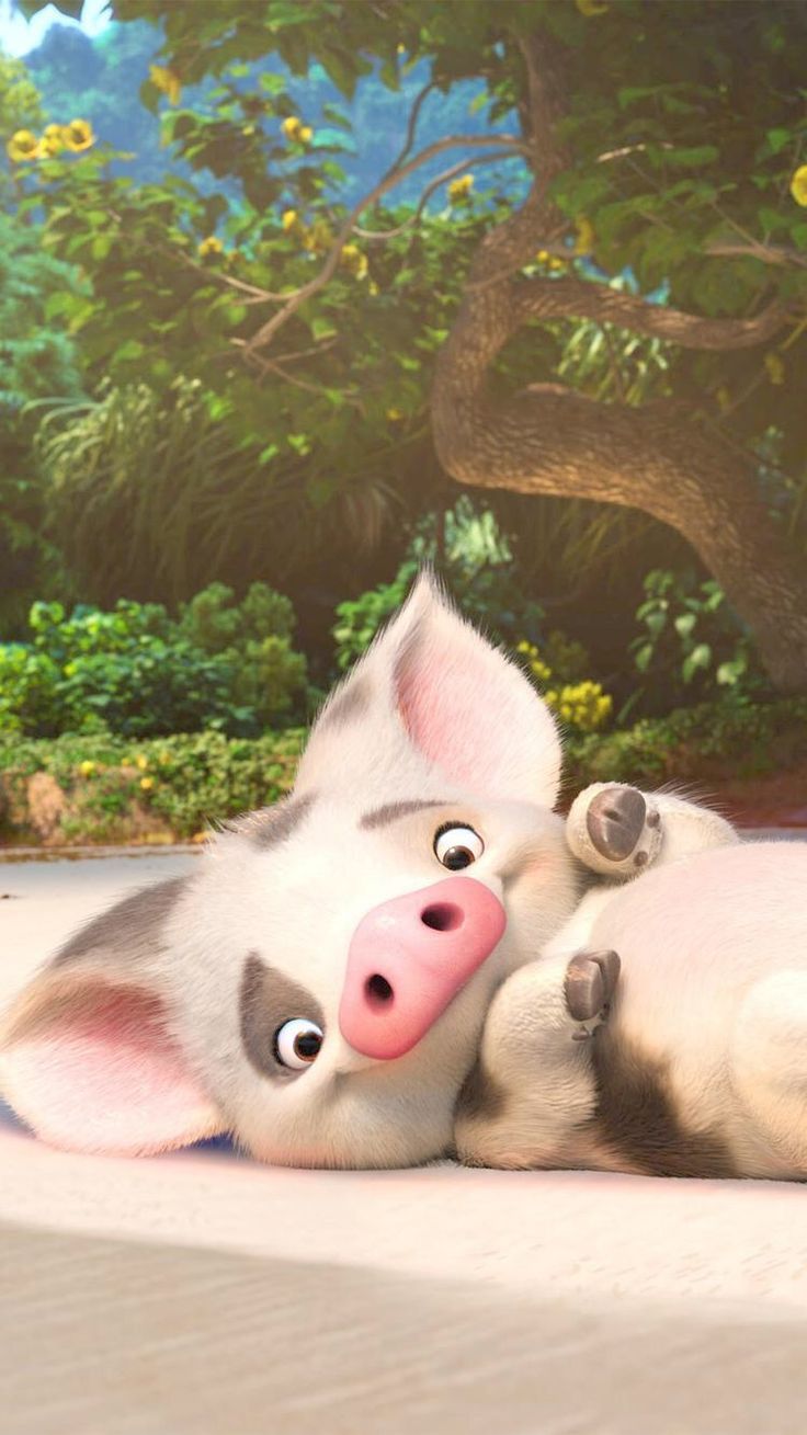 Best Image About Lovely Phone Wallpaper C Pig