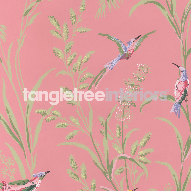 Augustine Wallpaper From Thibaut T6946 Pink