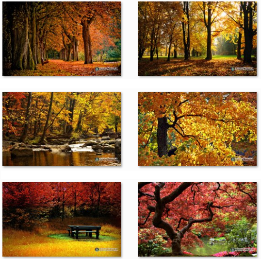 Autumn Themes For Windows Desktop Fun Pureinfotech