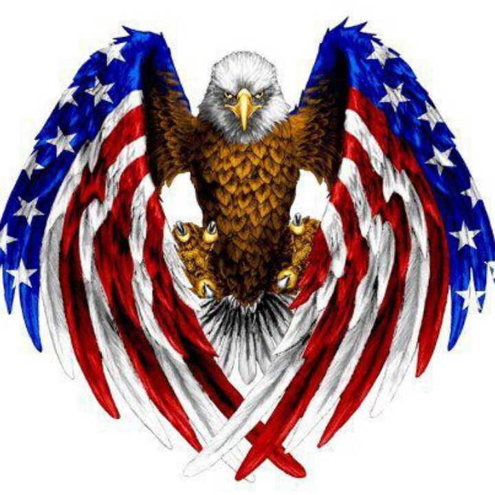 flag eagle NerdyAmerican Flag Eagle American Flag