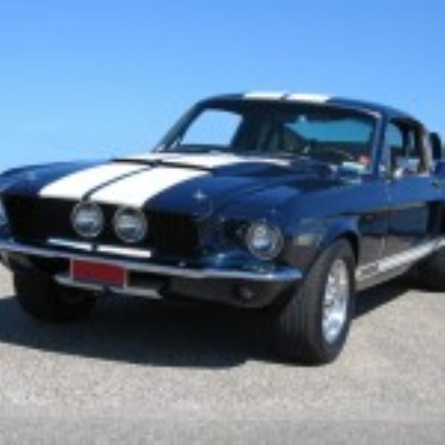 We Have Added Low Resolution Of Ford Shelby Gt Mustang Car Image