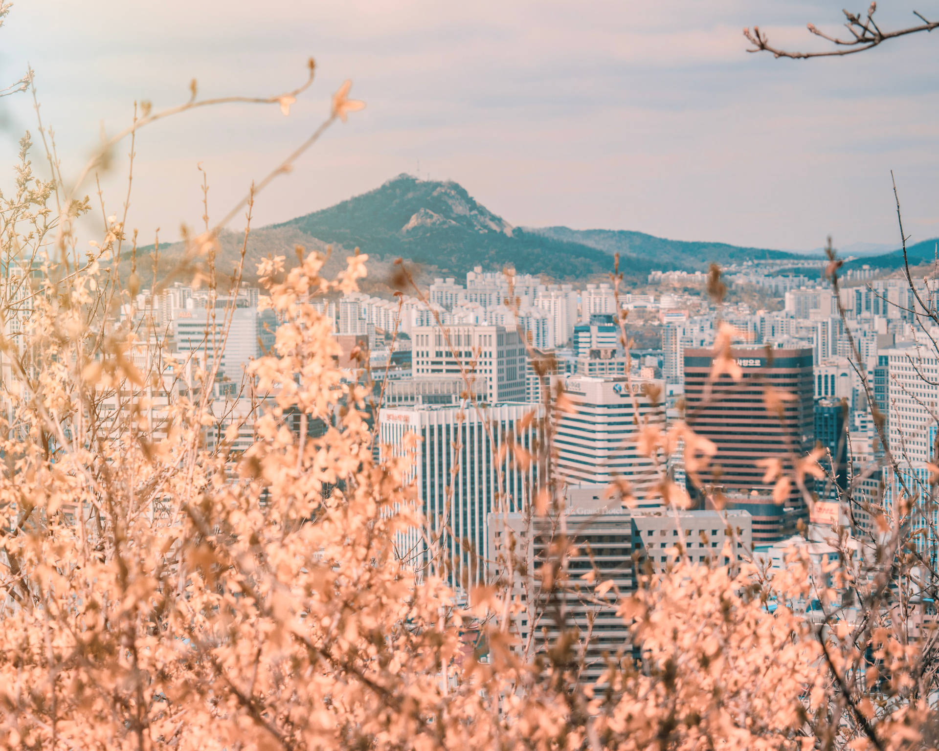 South Korea Wallpaper
