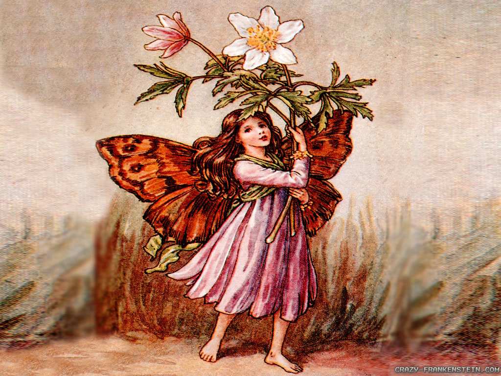 Wallpaper Windflower Fairies