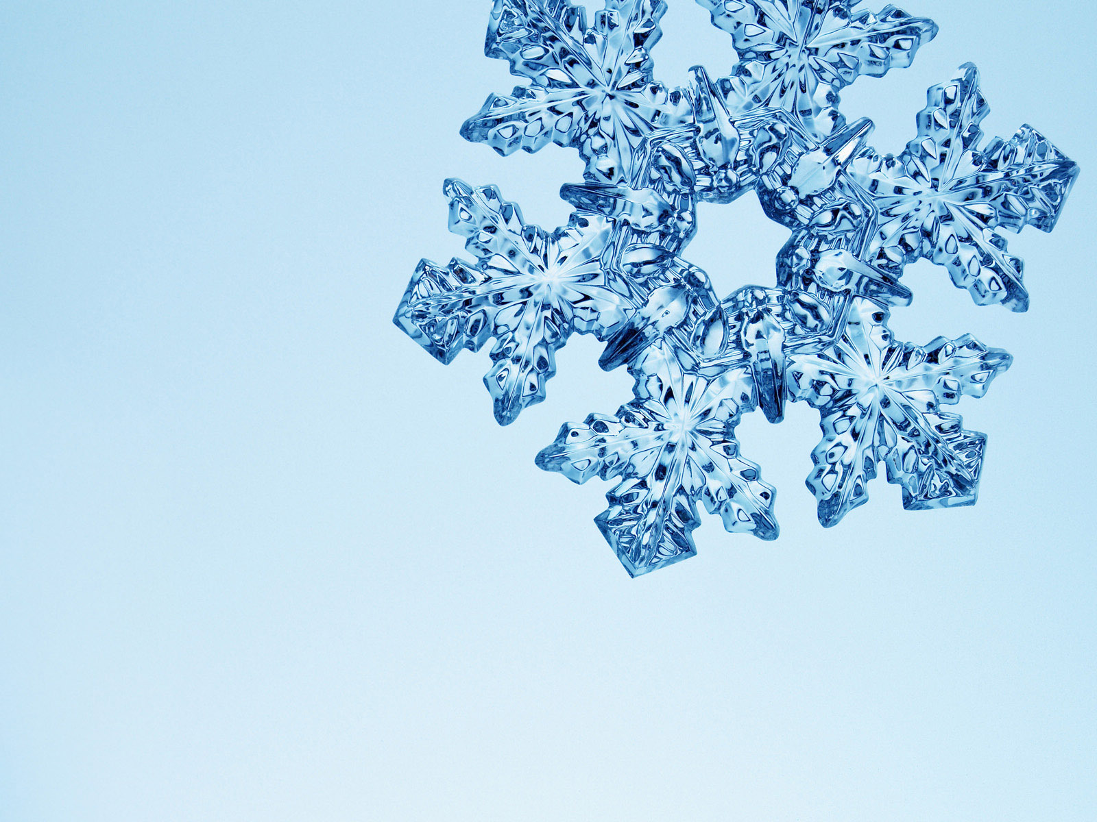 Exquisite Snowflake Wallpaper Patterns Background Bright