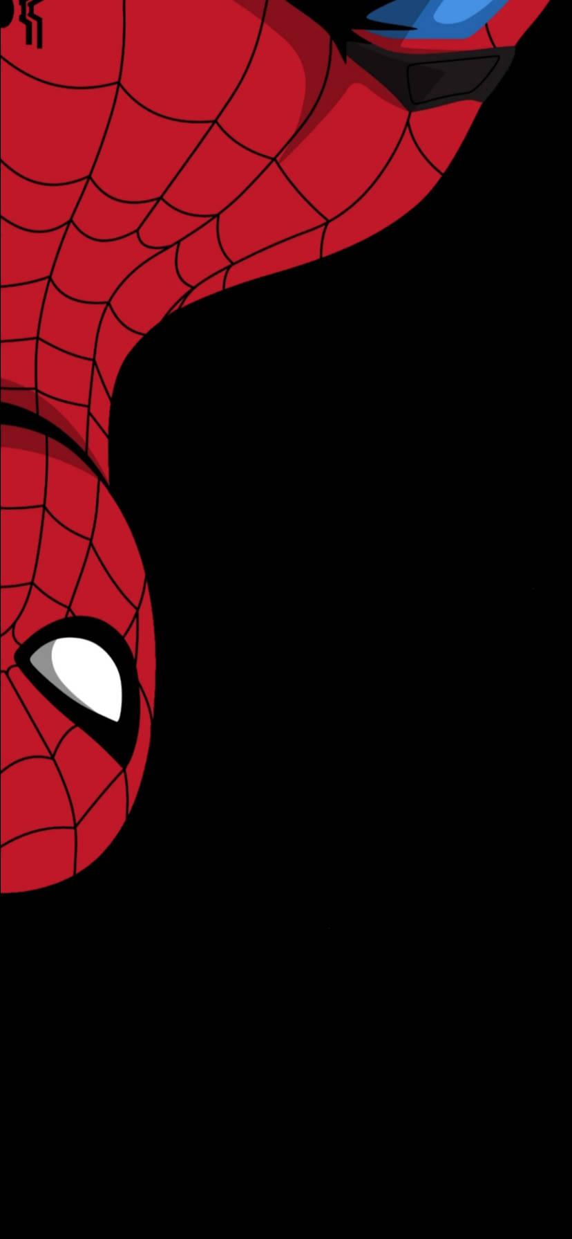 Upside Down Spider Man Marvel iPhone Xr Wallpaper