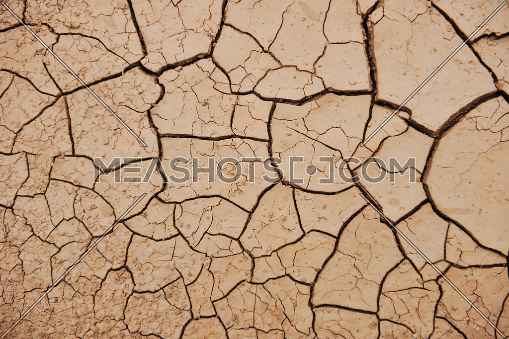 Dry Background Meashots