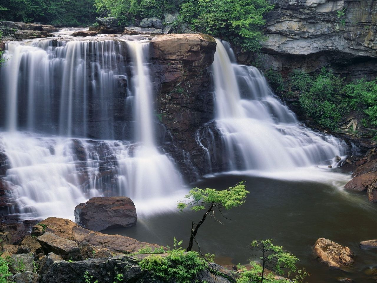 Nature Blackwater Falls State Park West Virginia