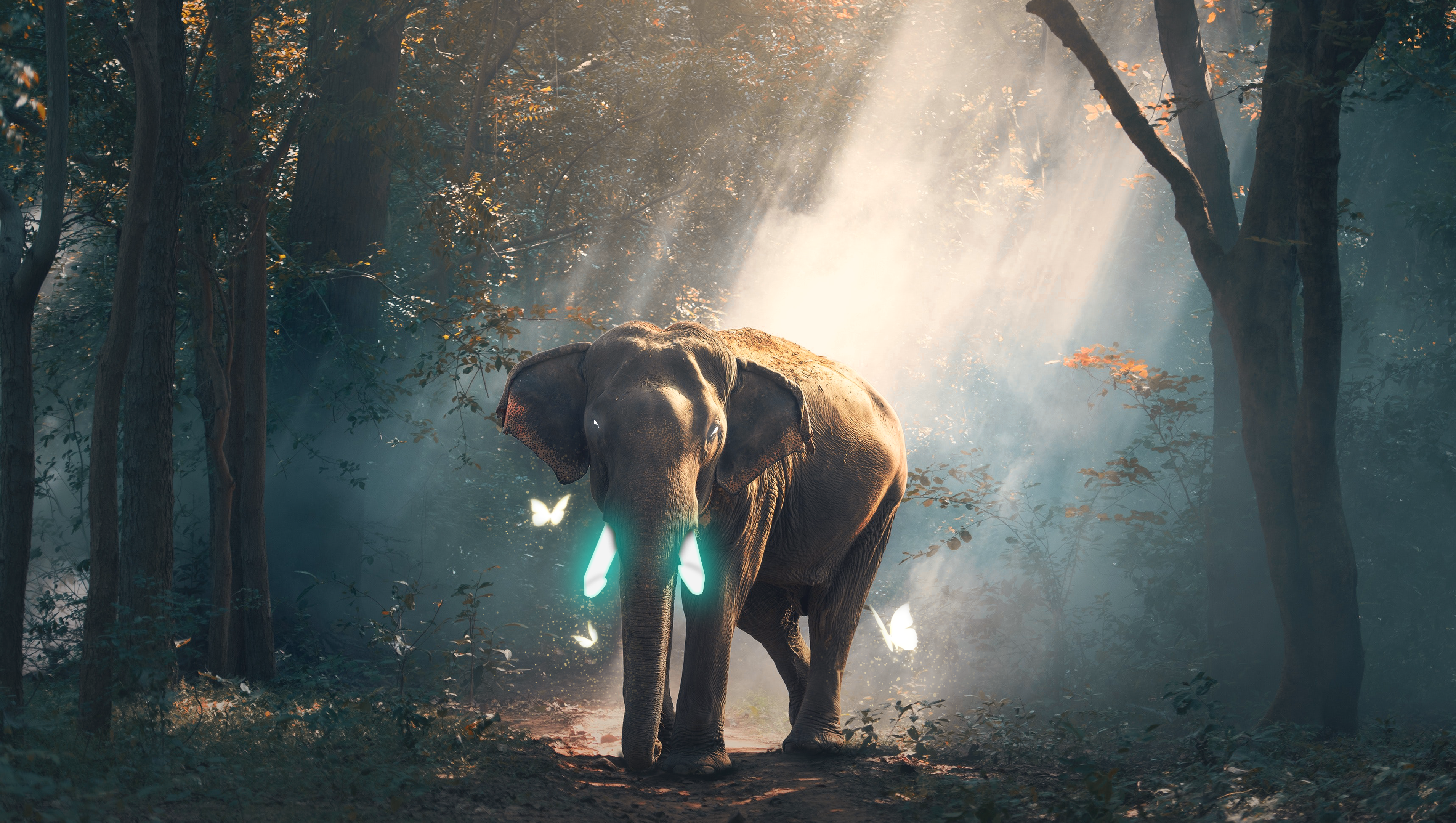 4k Glowing Elephant Wallpaper By Adxsh