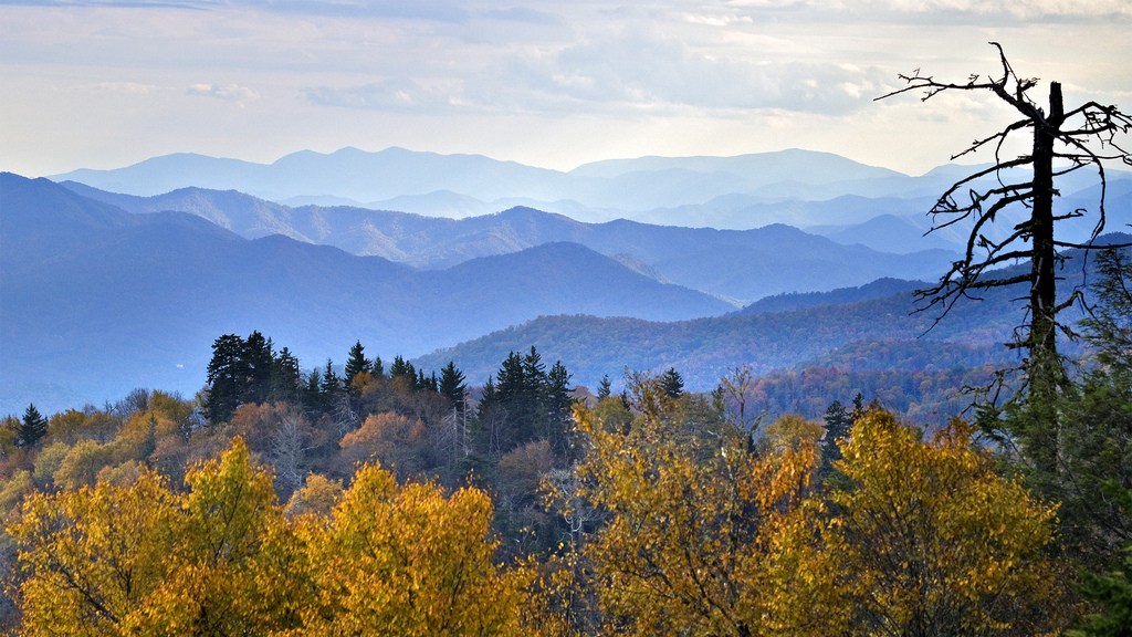 North Carolina Fall From Newfound Gap Great Smoky Mountains
