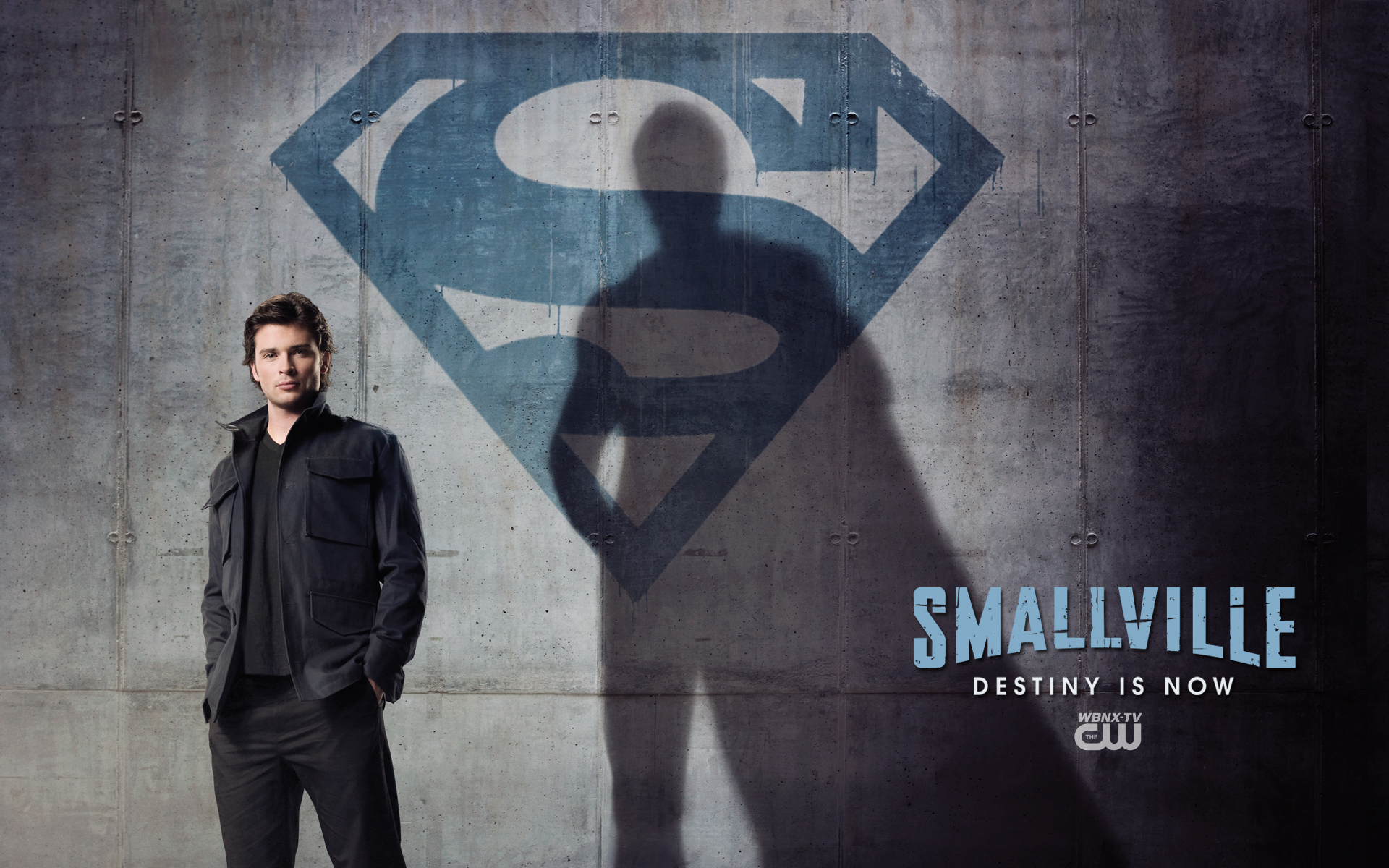 Smallville Wallpaper Series Exklusive Sign Tom Wehling