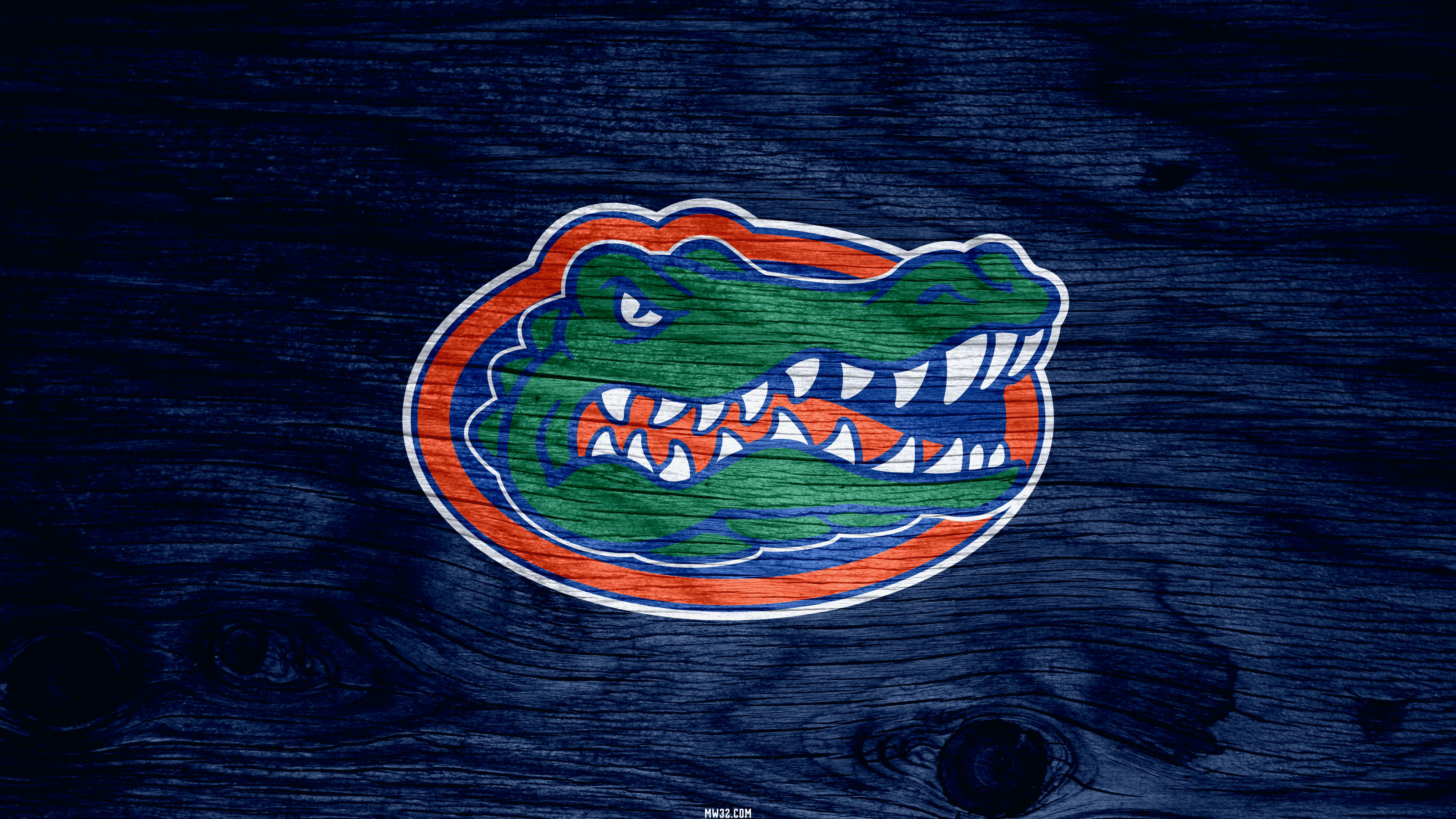 Download Florida Gators Logo With Helmet Wallpaper  Wallpaperscom
