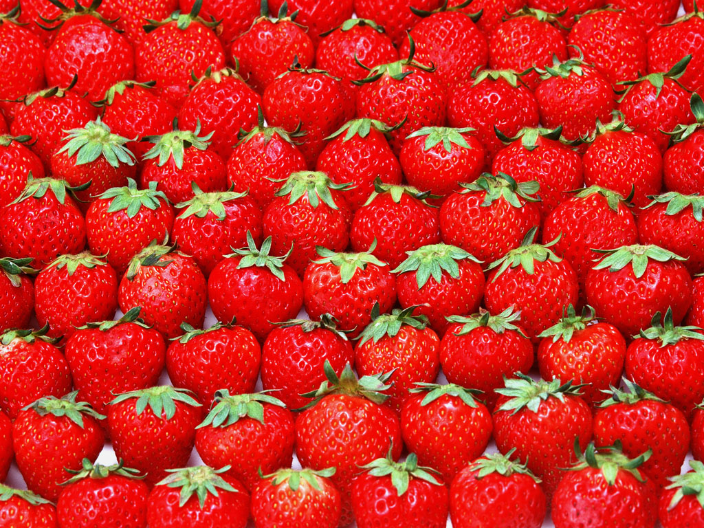 Fresh Strawberry Garden Strawberries No Wallpaper
