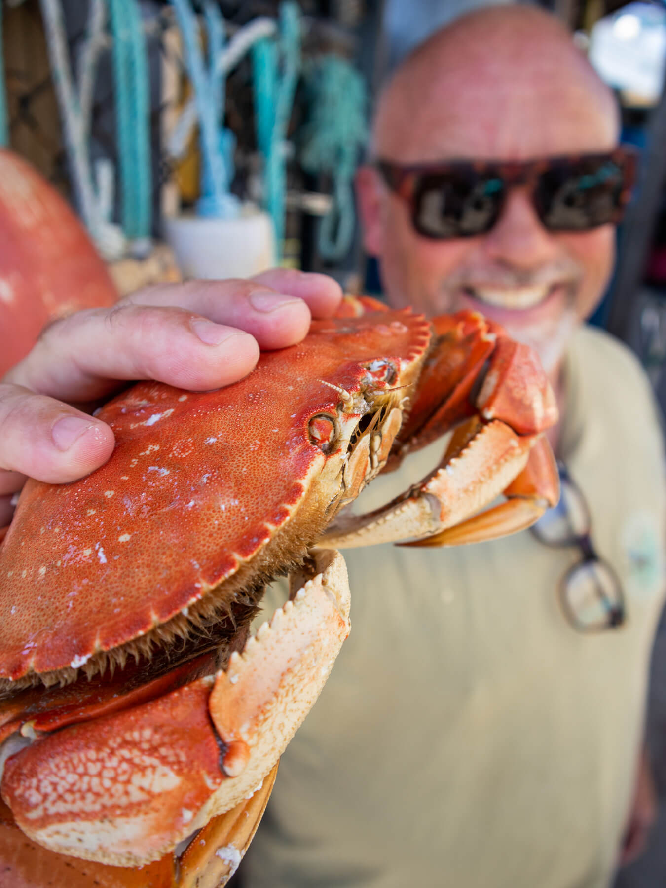 Dungeness Crab Season Wallpaper
