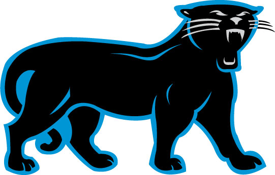 Carolina Panthers Wallpaper 541x345