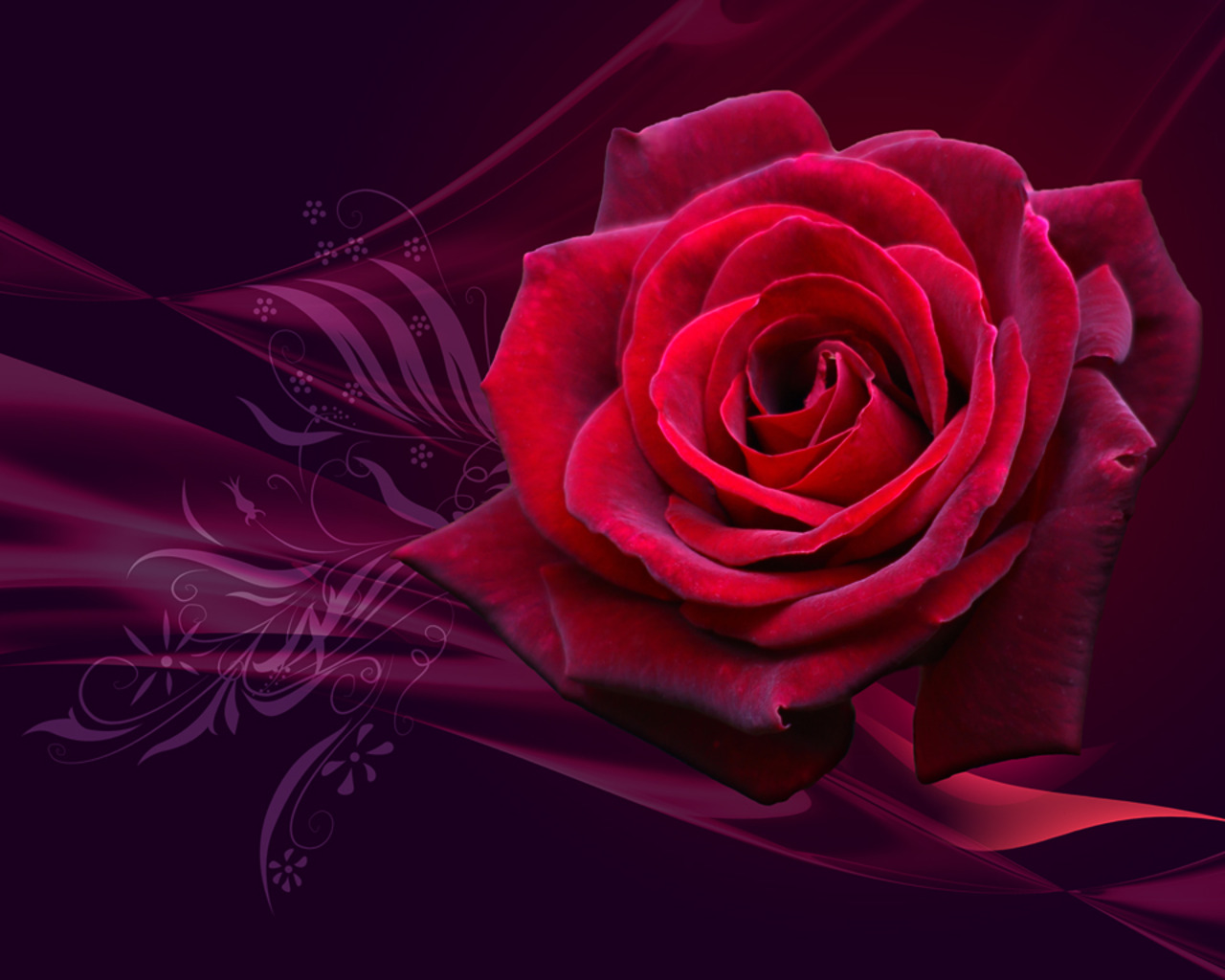 Lap Top Valley Red Roses Wallpaper