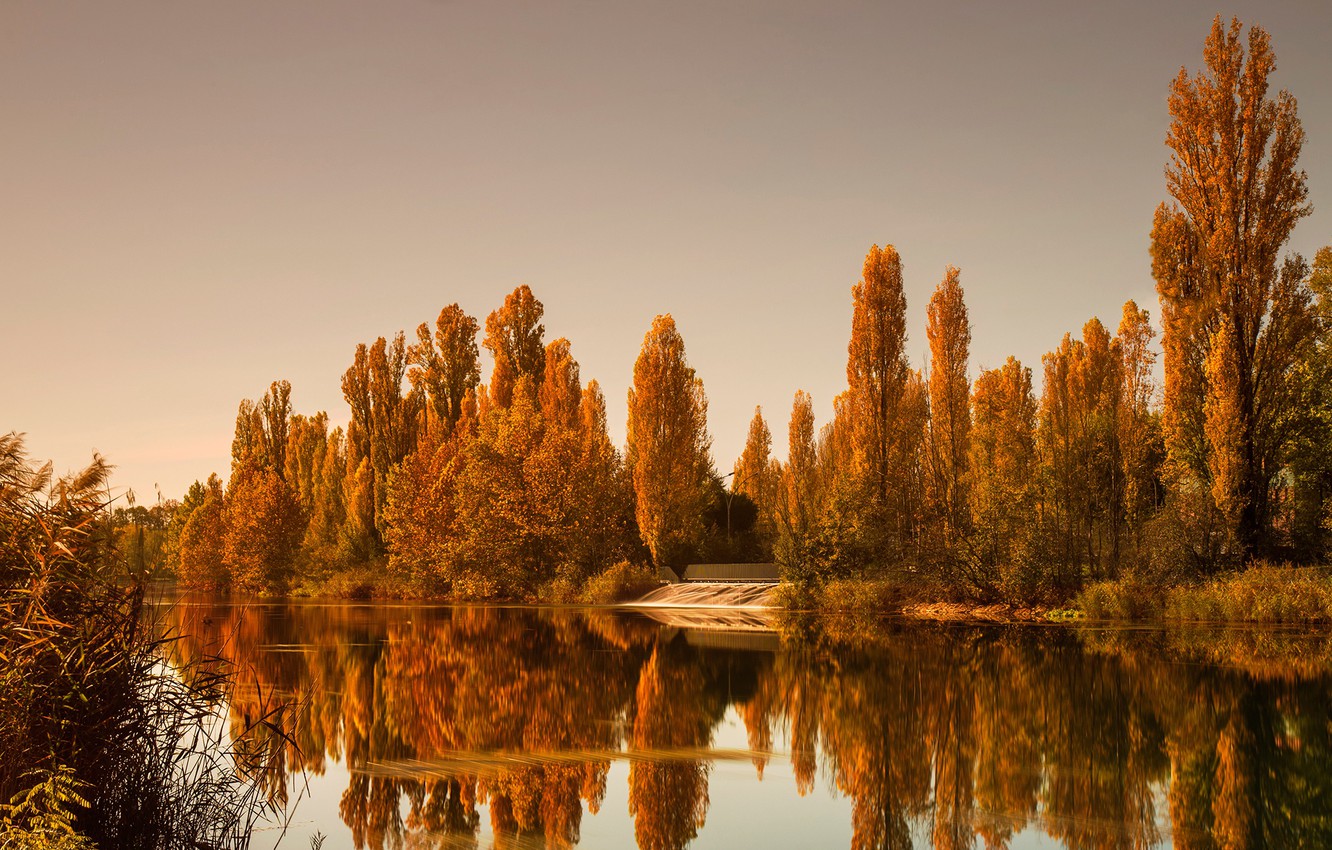Wallpaper Autumn Forest The Sky Water Trees Reflection River