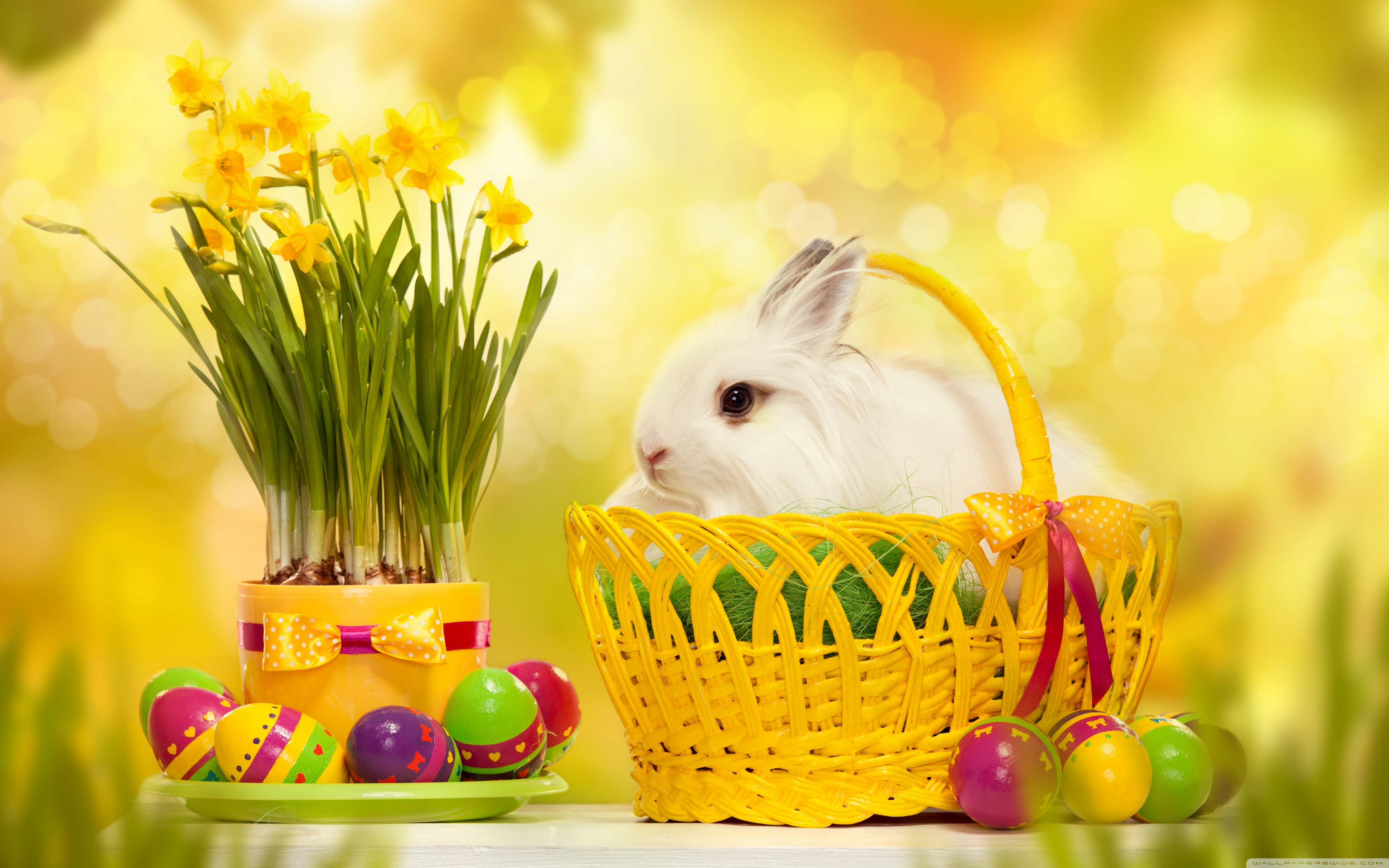 Happy Easter Bunny 4K HD Desktop Wallpaper for 4K Ultra HD TV