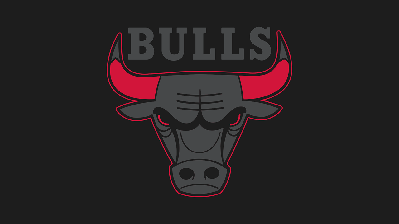 Chicago Bulls Logo Large Image