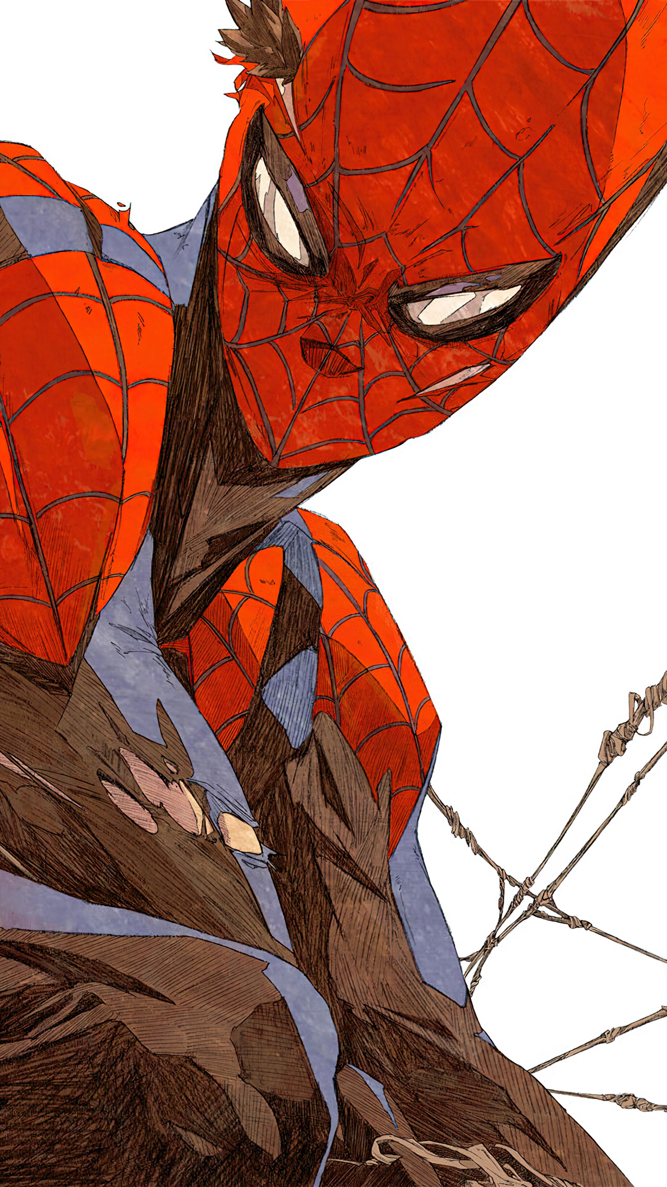 Spider Man Superhero Art 4k Wallpaper iPhone HD Phone 700h