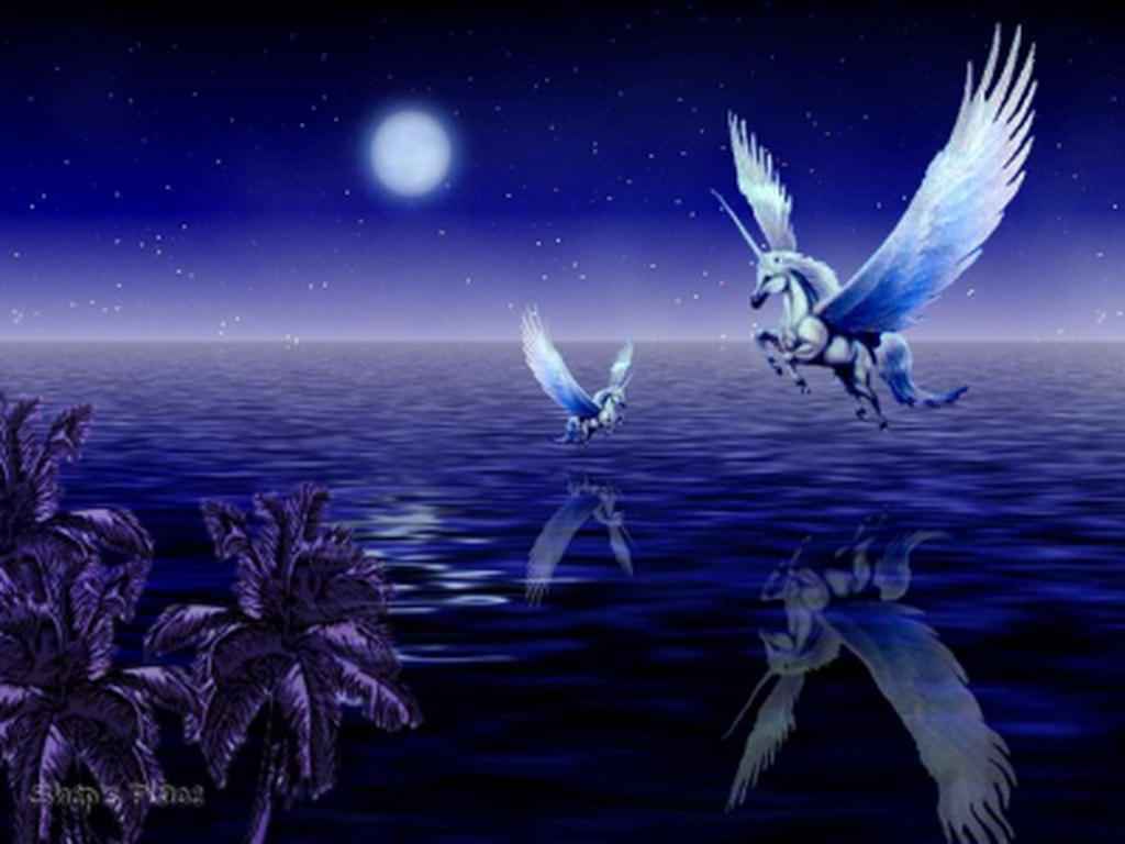 Unicorns Image Pegasus Wallpaper HD And Background