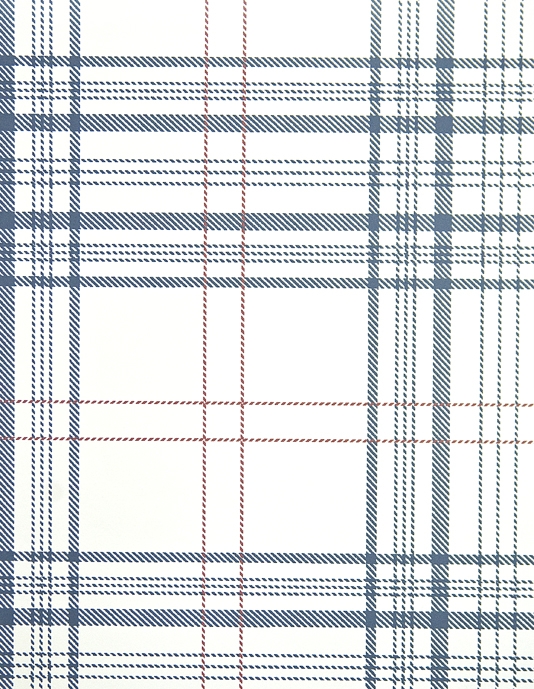 Rakel Plaid Wallpaper White and Blue plaid wallpaper with red window
