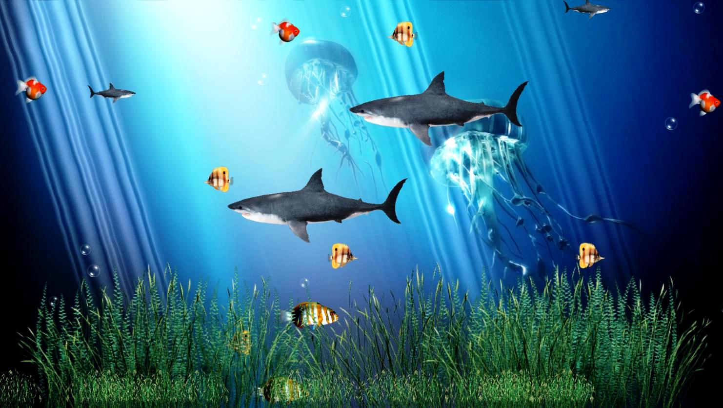 Aquarium Background Cool Animated