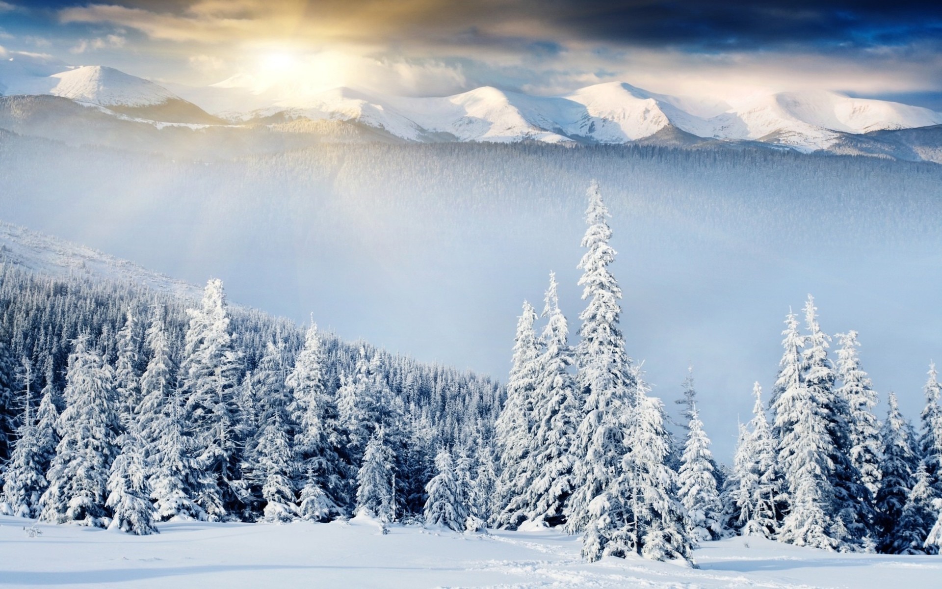 Wallpaper Desktop Winter Scenes