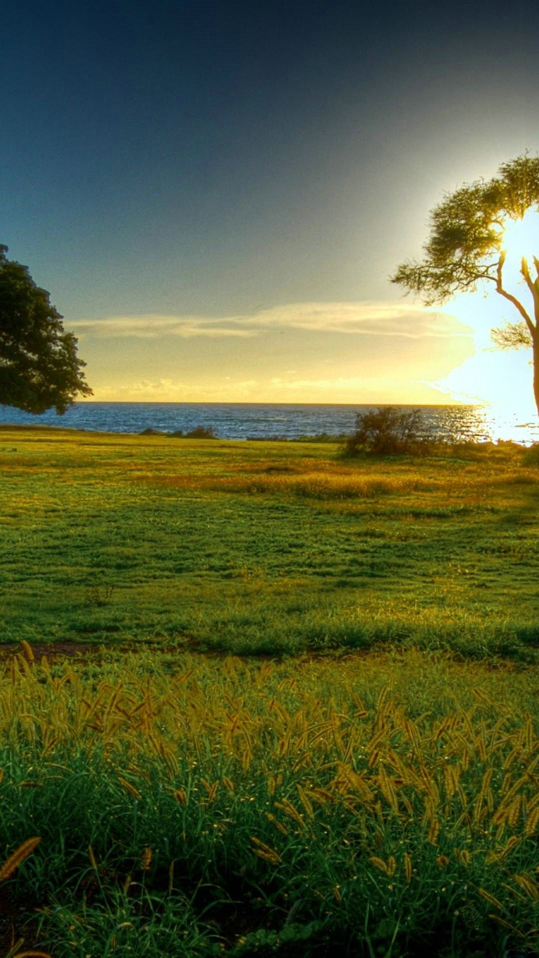 Beautiful Nature Wallpaper iPhone
