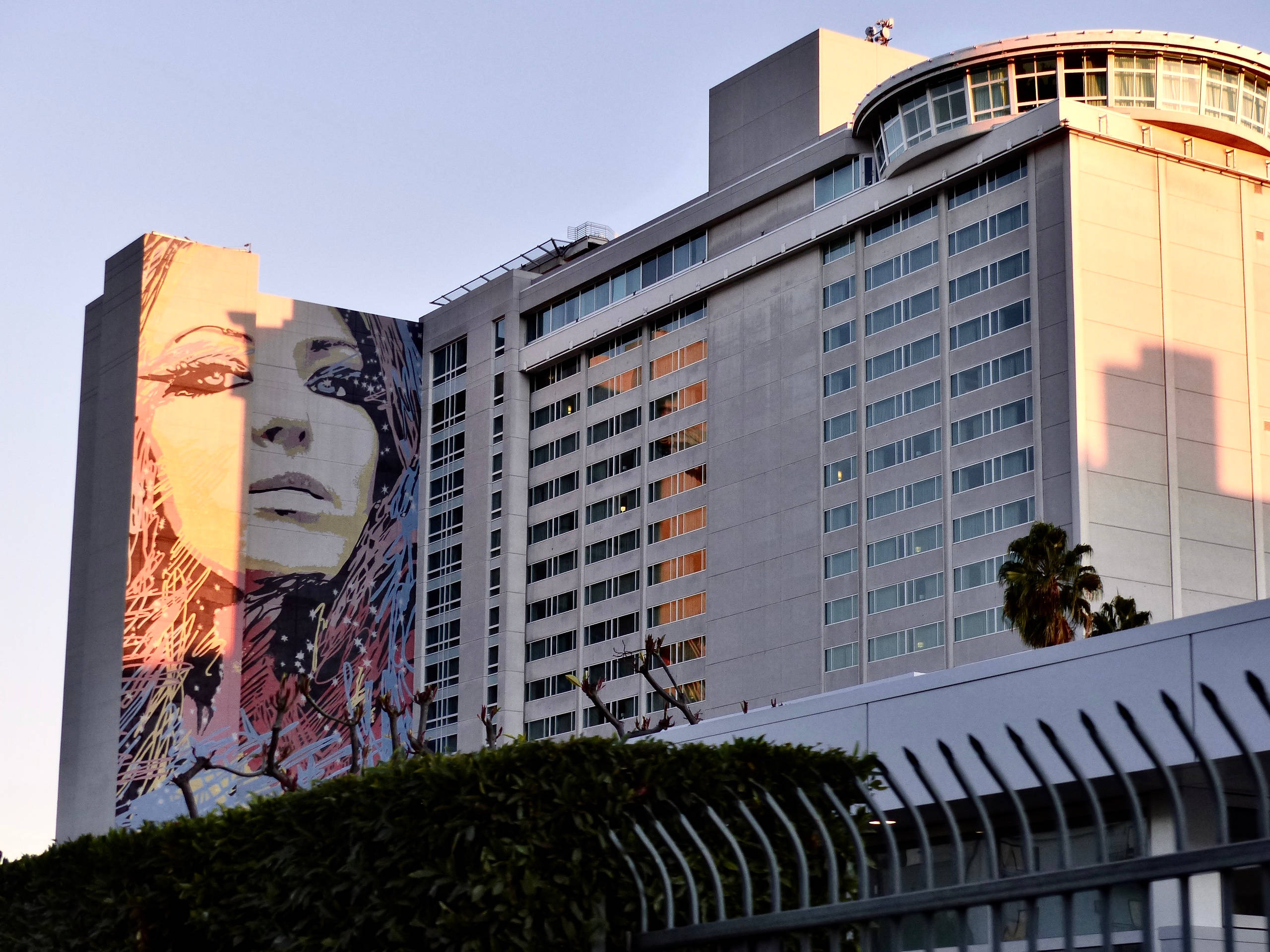 Peaceful Hollywood Street Wallpaper