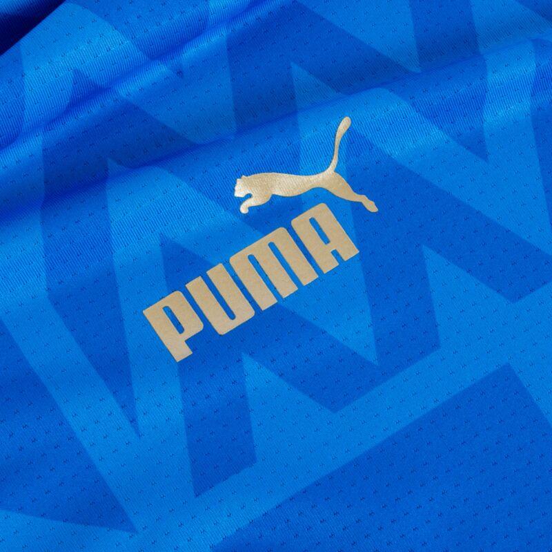 Puma Italy Home Pre Match Shirt