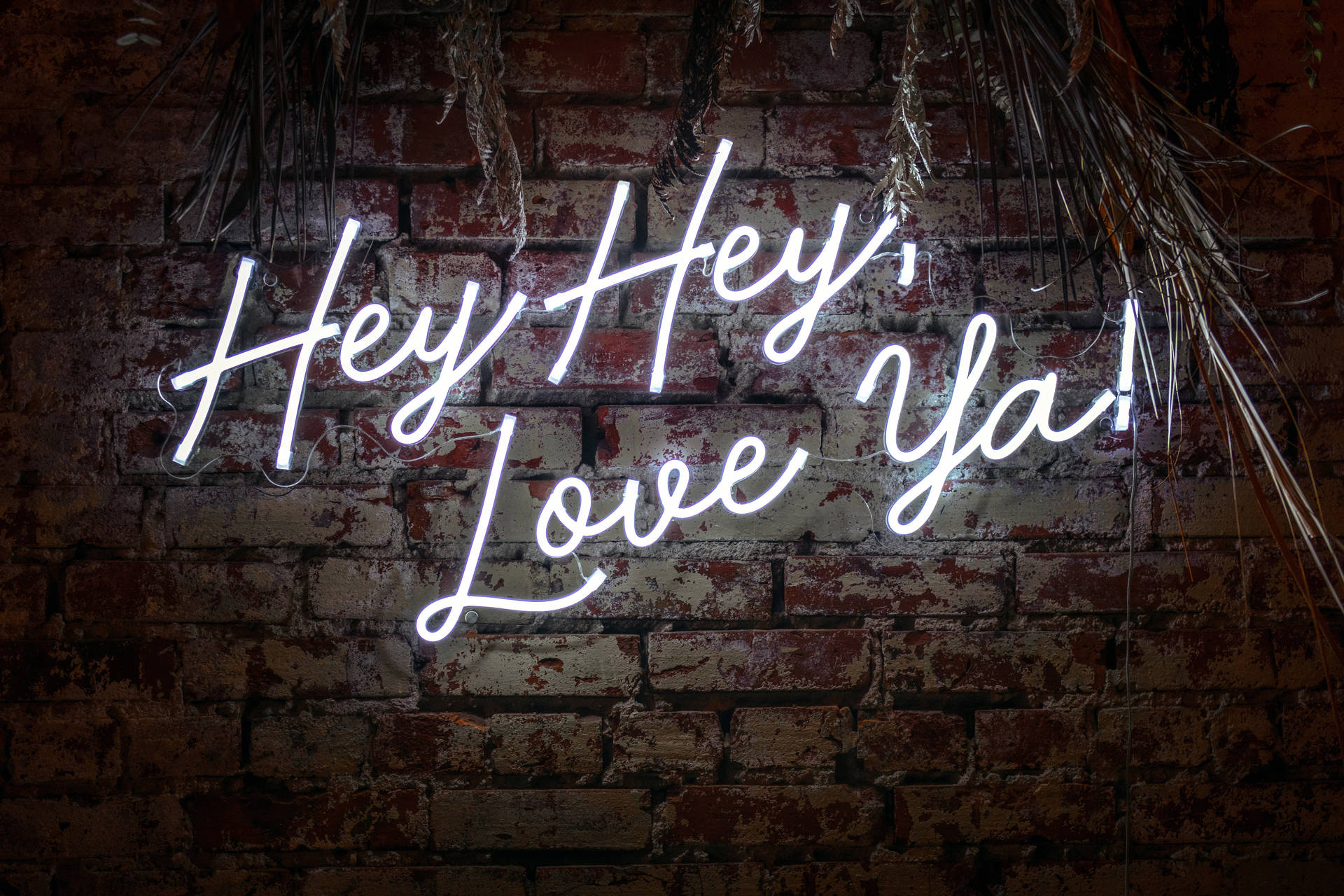 Top White Neon Aesthetic Wallpaper Full HD 4k To Use