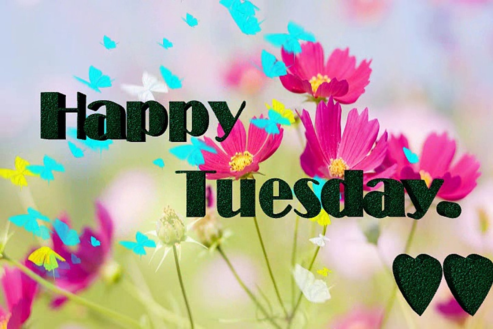 Free download Happy Tuesday Good Morning Wisheshappy Tuesday ...