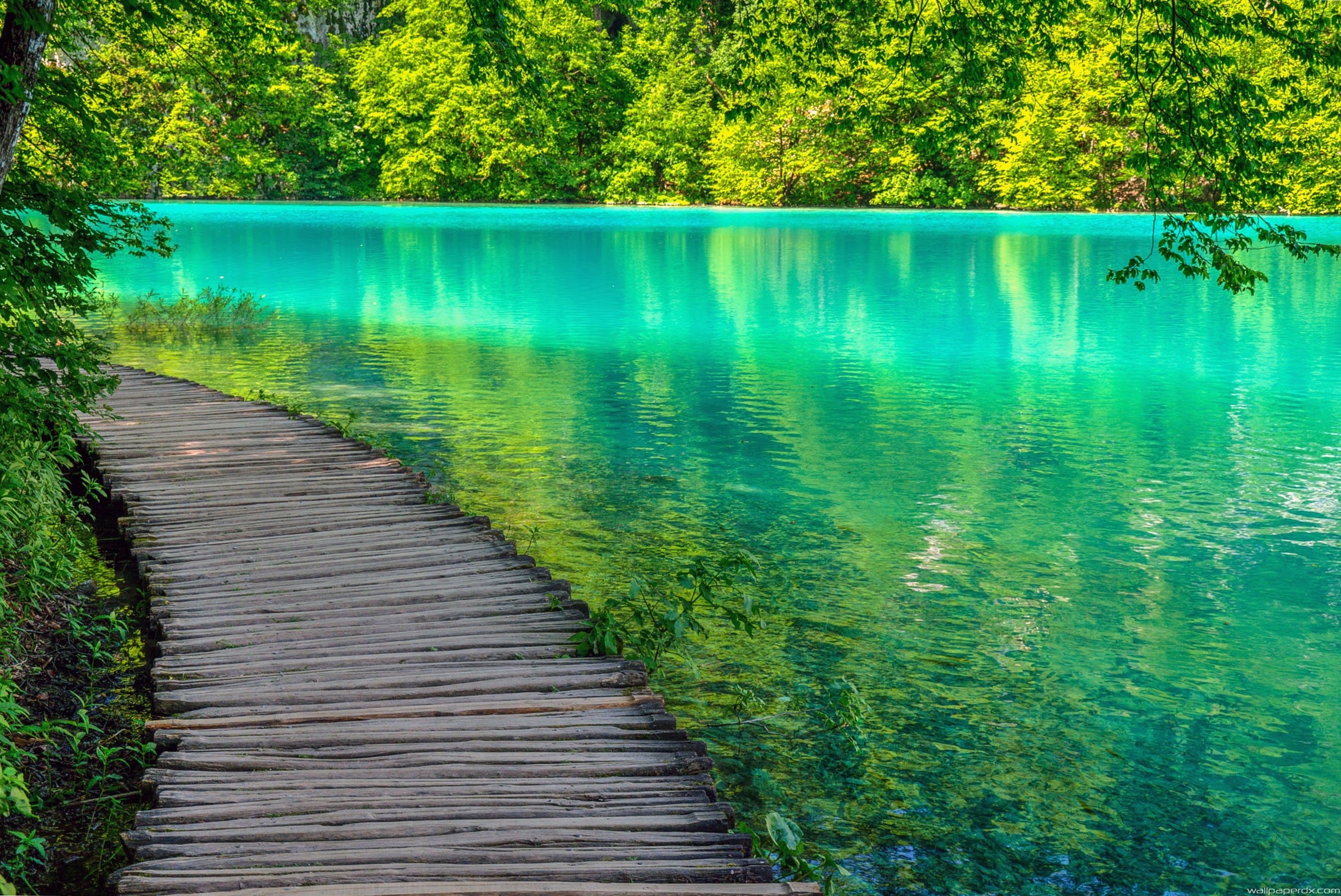 Plitvice Lake Wallpaper And Background Image
