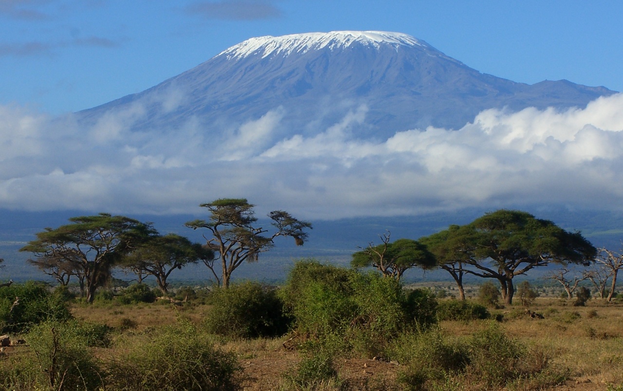 Mount Kilimanjaro One Wallpaper Stock Photos