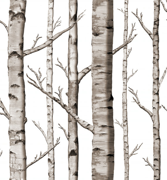 Birch Grove Removable Peel n Stick Wallpaper in Black and White 570x616