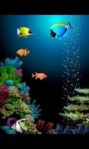 Animated Fish Live Wallpaper For Android By Cherry Studio