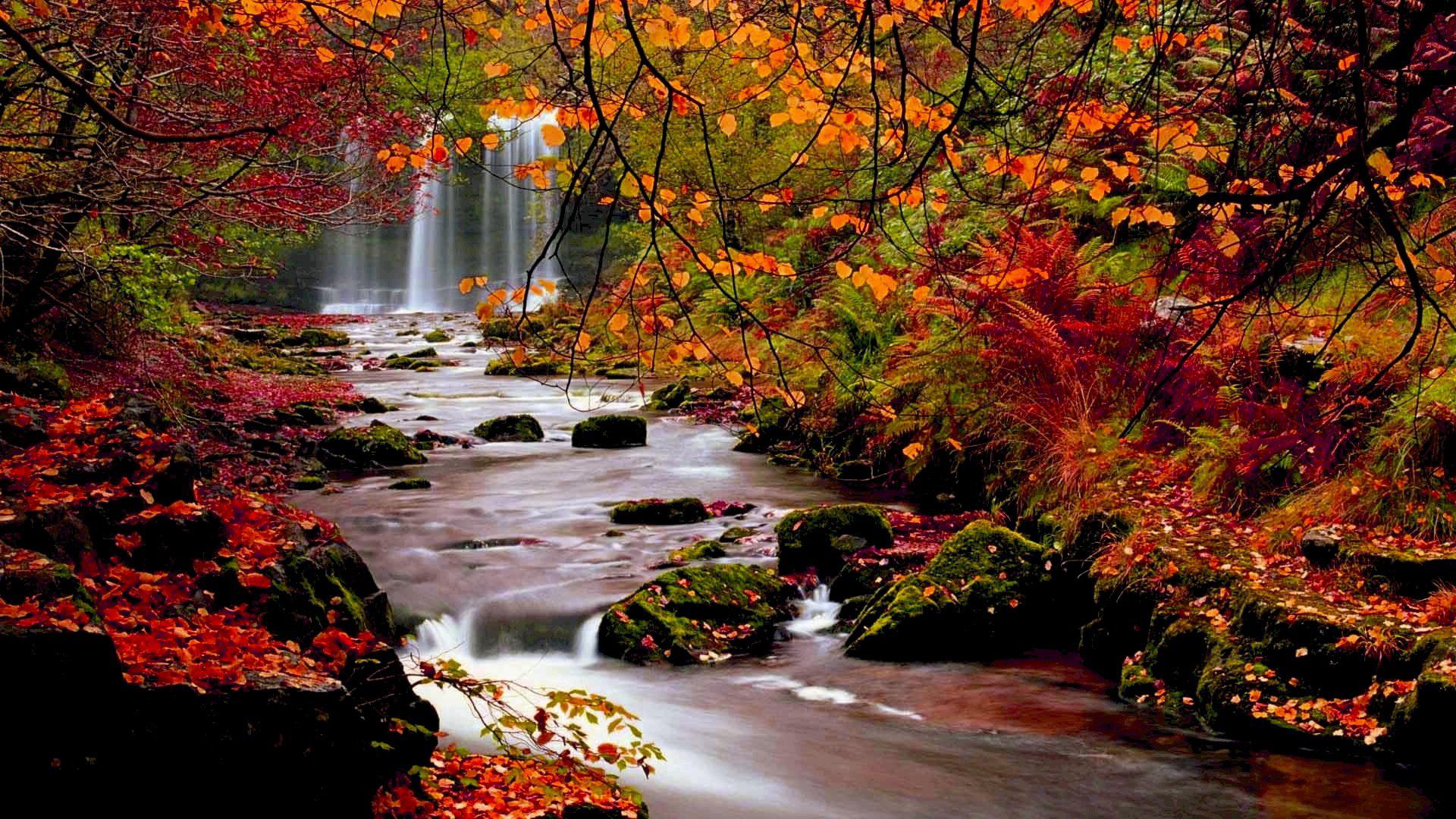 Free Download Fall Nature Desktop Wallpapers Top Free Fall Nature Free Download Fall Nature Desktop Wallpapers Top Free Fall Nature