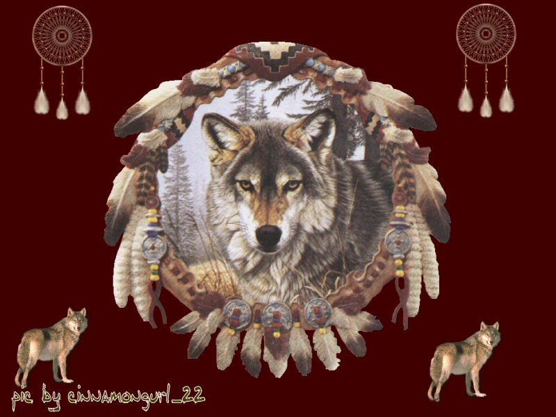 Wolf dreamcatcher by cinnamongurl22 on