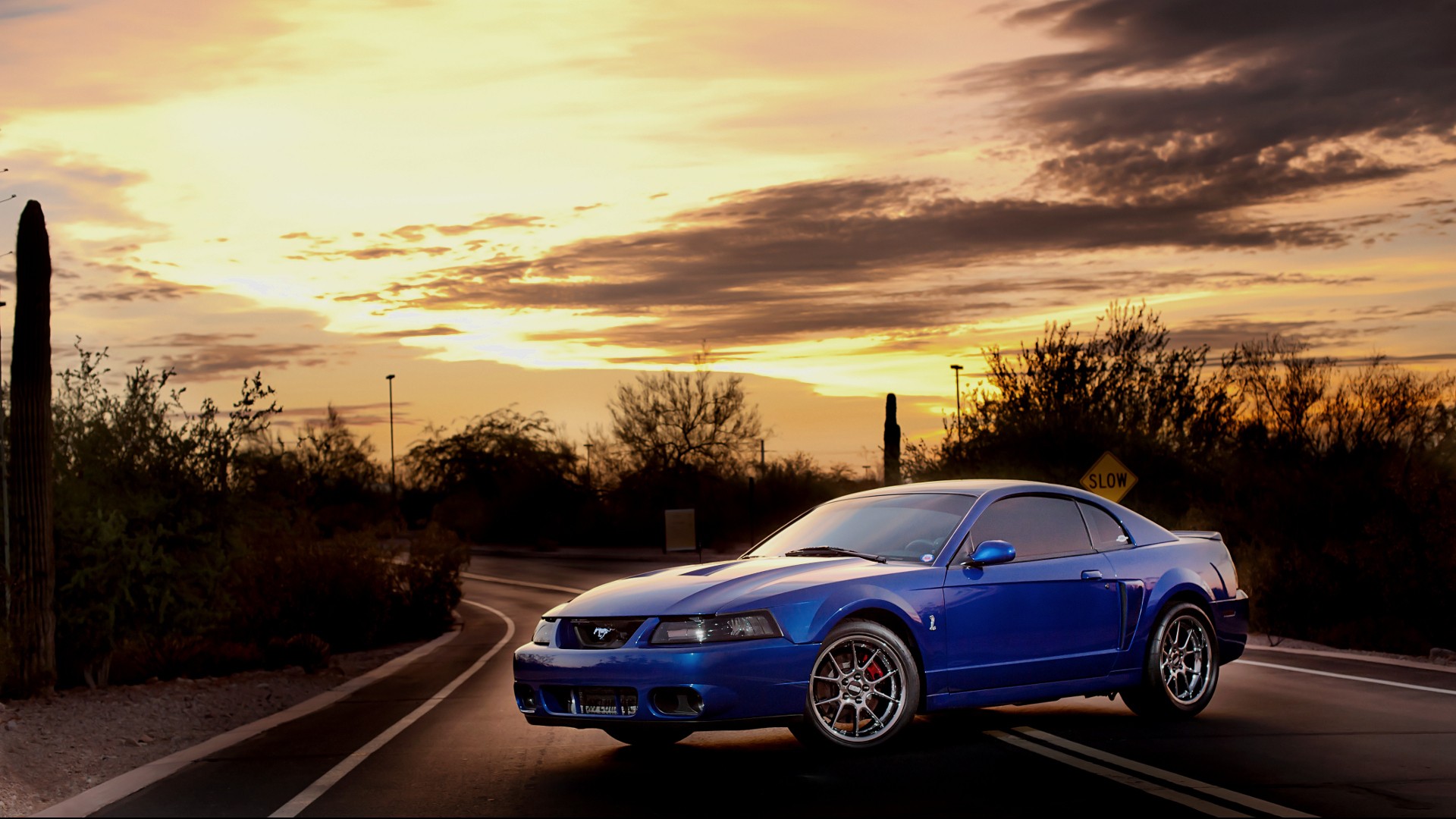 Free Download Terminator Cars Cobra Ford Vehicles Ford Mustang Ford Mustang Gt 1920x1080 For Your Desktop Mobile Tablet Explore 50 Cobra Terminator Wallpaper Mustang Iphone Wallpaper Mustang Cobra Wallpaper