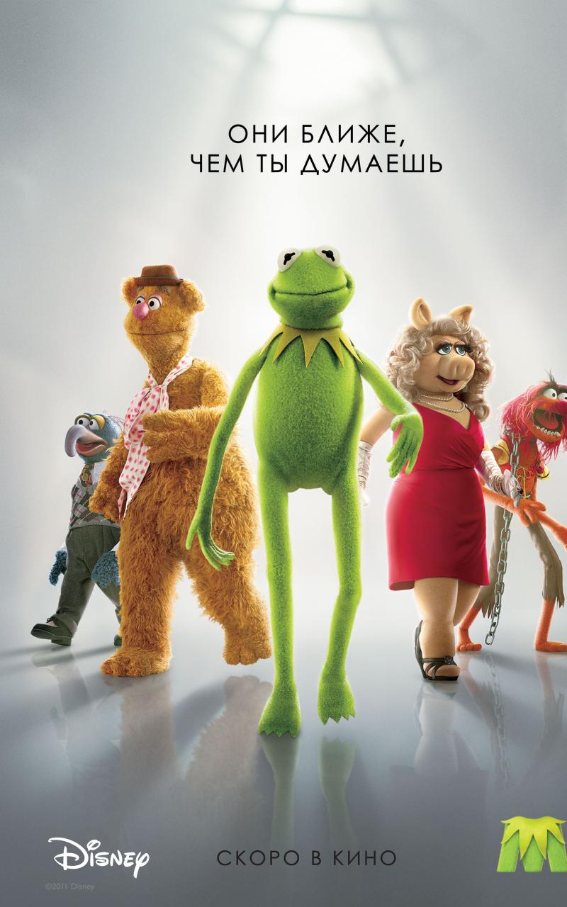 Kermit The Frog Miss Piggy Muppet Show Wallpaper