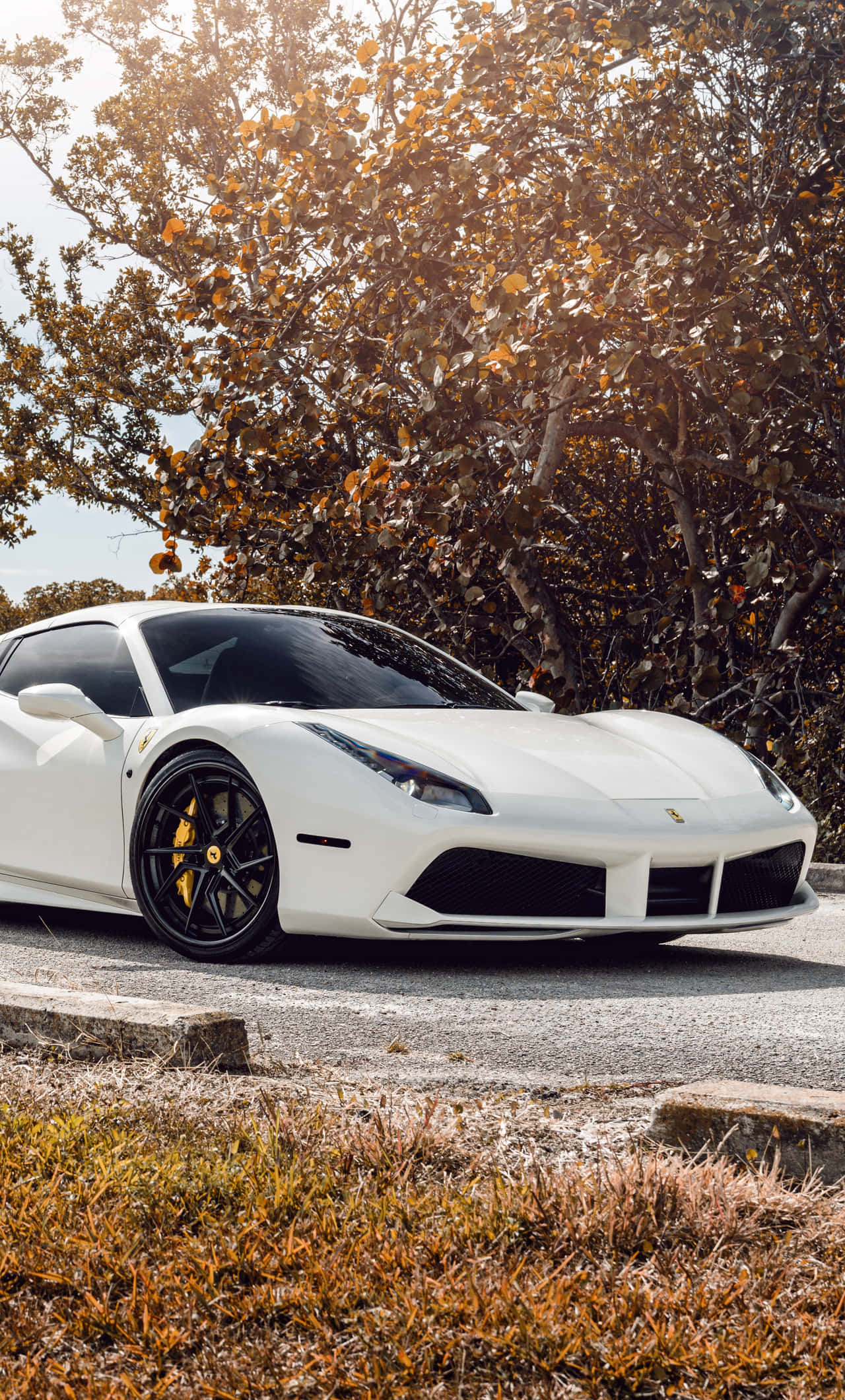 White Ferrari iPhone Wallpaper