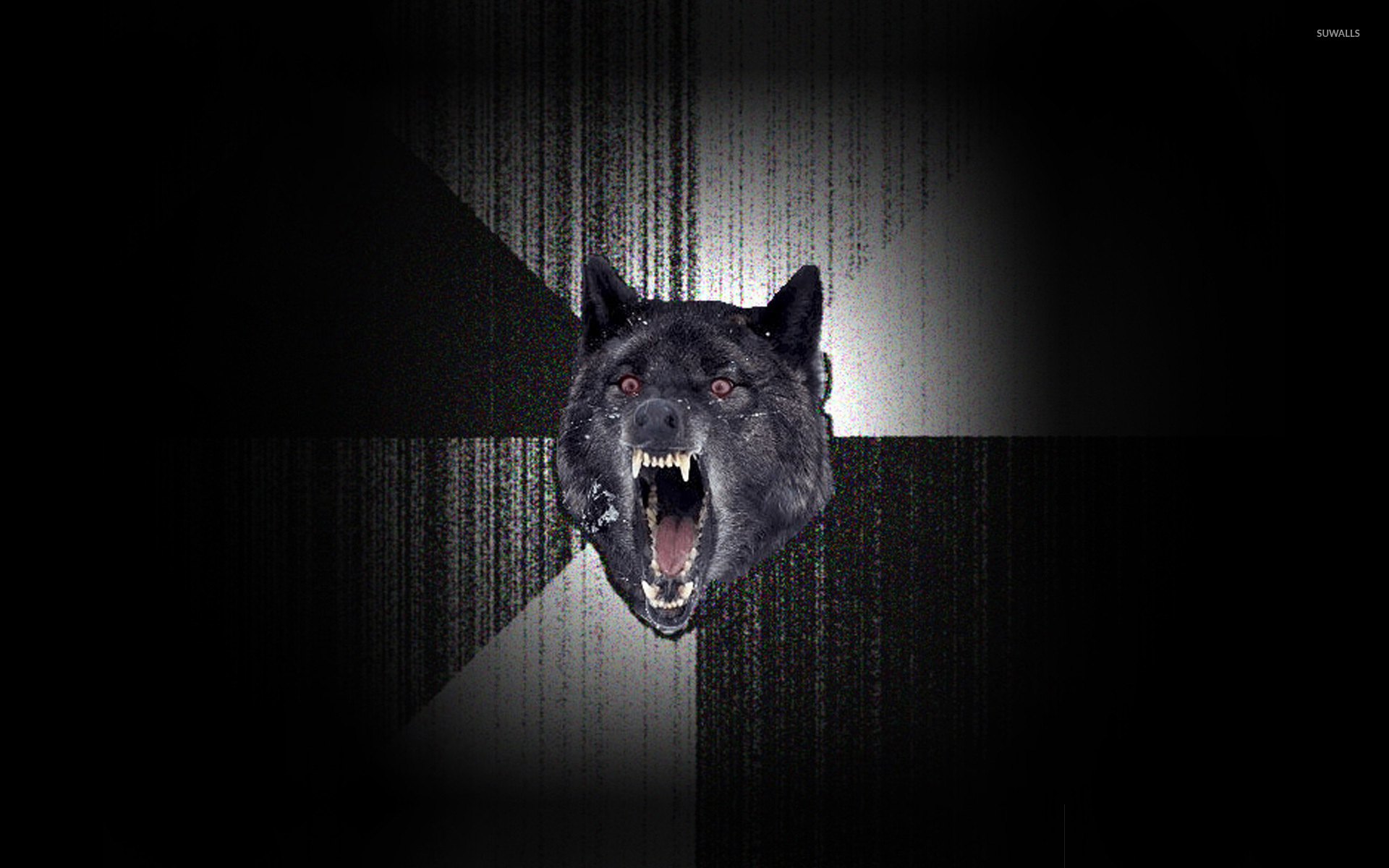 Insanity Wolf Wallpaper Meme