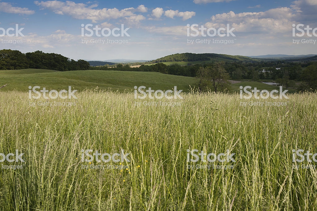 Sunny Pastoral Valley In Springtime With Mountains Background