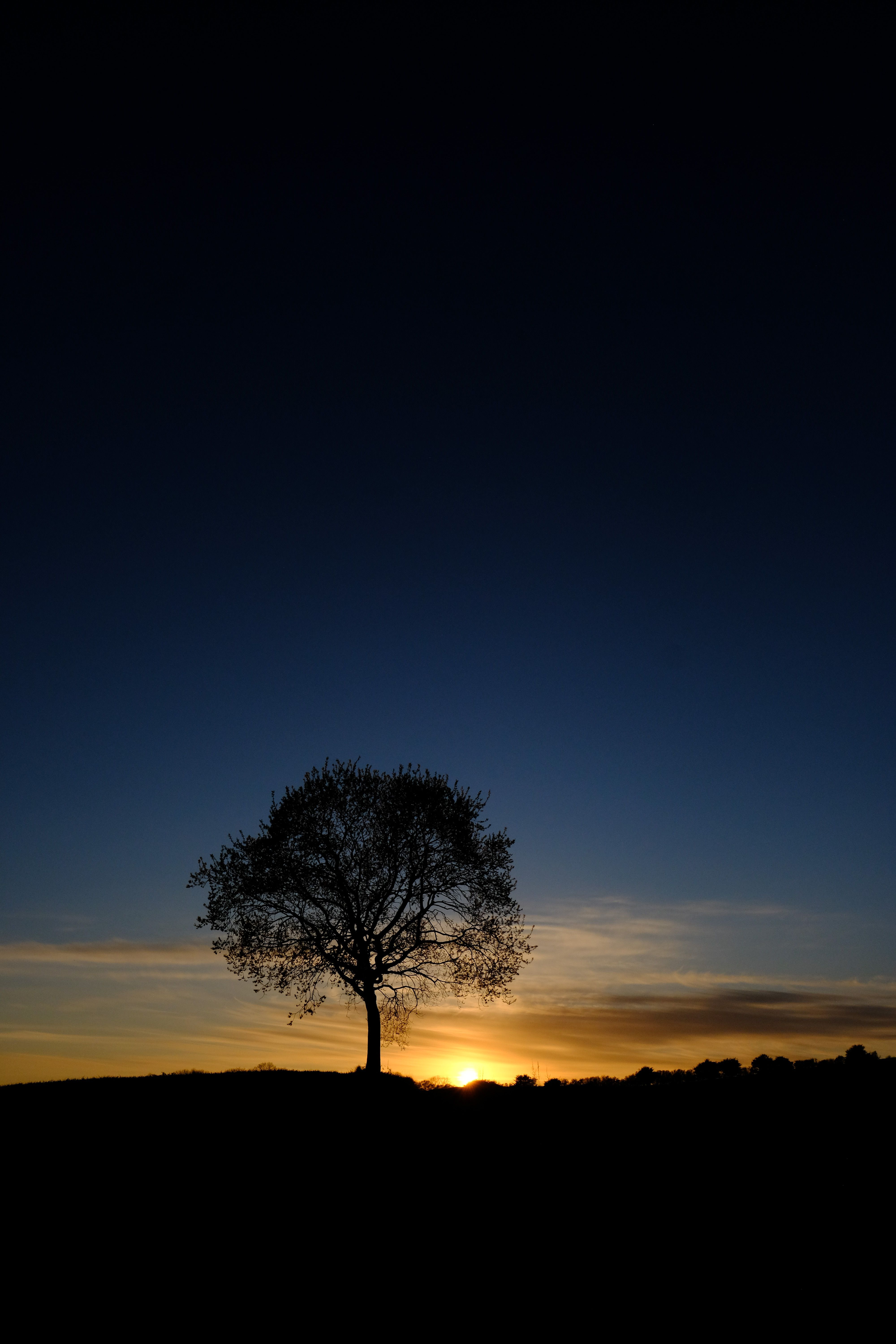 Nature Mobile Wallpaper