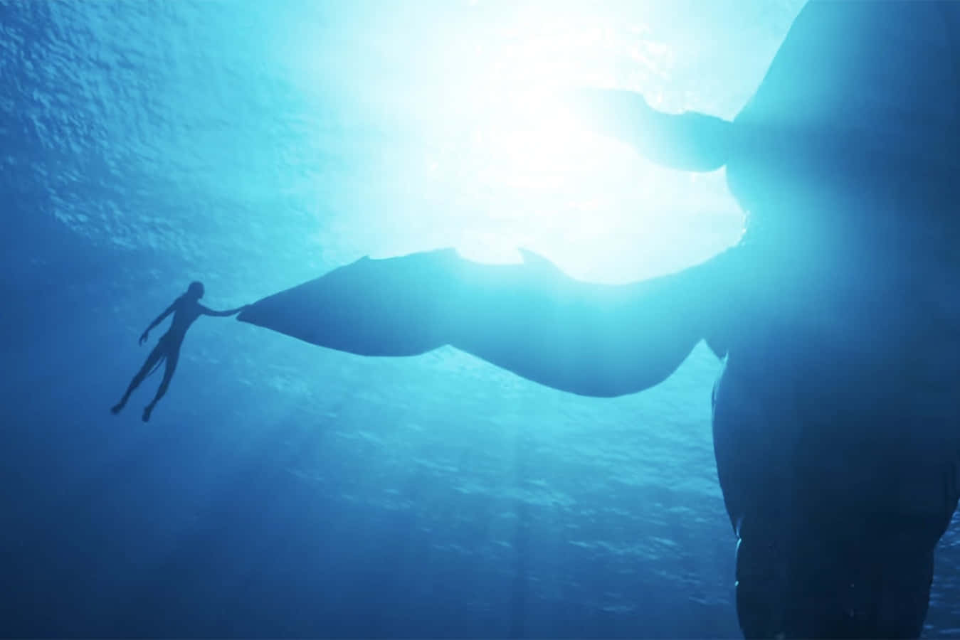 Avatar The Way Of Water Underwater Scene Wallpaper
