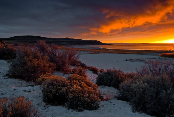 Antelope Island Utah Traveler Photo Contest National