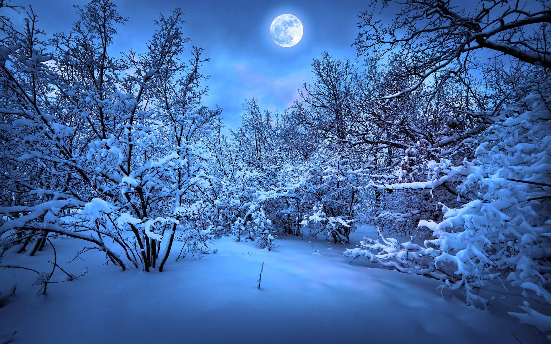 Snow Desktop Wallpaper