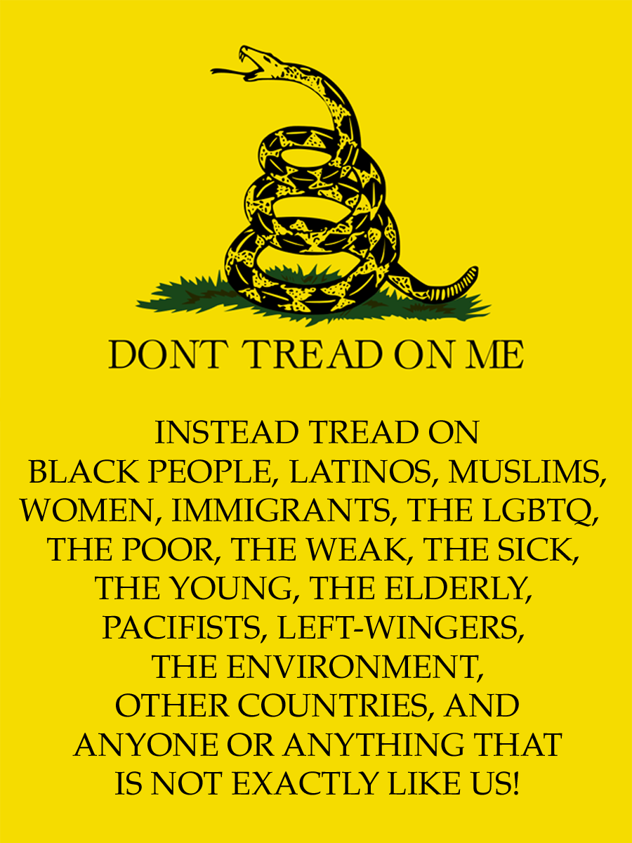 The Real Gadsden Flag By Bullmoose1912